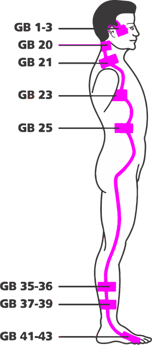 Gallbladder Tcm Acupressure Points For Gallbladder Stones
