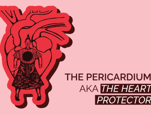 Our Heart’s Protector: The Pericardium