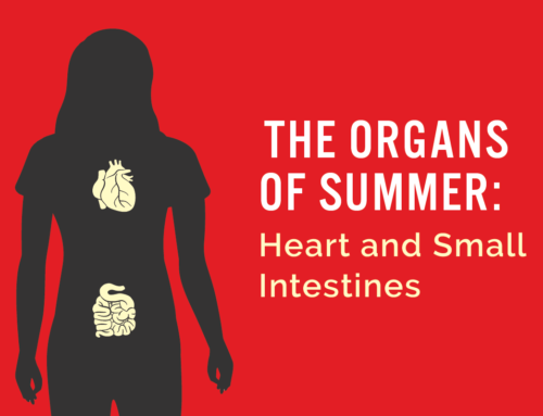 The Organs of Summer