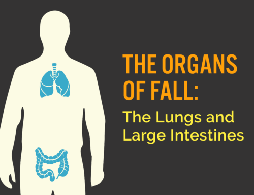 The Organs of Fall