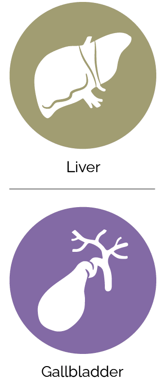 The Spring Season - Mend Acupuncture