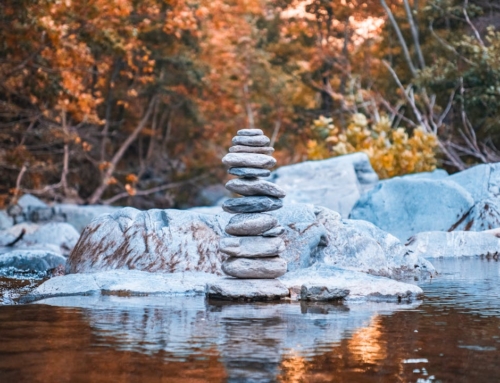 Finding Balance During the Fall Equinox